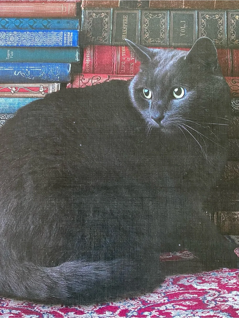 Cobble Hill 1000 Ct Library Cat Puzzle with Poster